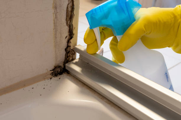 Best DIY Mold Remediation Support Services in Southern Gateway, VA